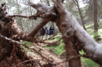/album/fotogaleria-vias-verdes-mancha-real-jaen-/img-2960-jpg/