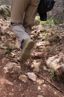 /album/fotogaleria-vias-verdes-mancha-real-jaen-/img-2963-jpg/