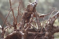 /album/fotogaleria-vias-verdes-mancha-real-jaen-/img-2966-jpg/