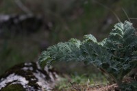 /album/fotogaleria-vias-verdes-mancha-real-jaen-1/img-3176-jpg/