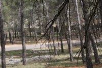 /album/fotogaleria-vias-verdes-mancha-real-jaen-1/img-3160-jpg/