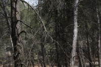 /album/fotogaleria-vias-verdes-mancha-real-jaen-1/img-3163-jpg/