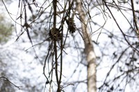 /album/fotogaleria-vias-verdes-mancha-real-jaen-grupo-cristina/img-3046-jpg/