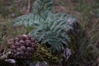 /album/fotogaleria-vias-verdes-mancha-real-jaen-grupo-cristina/img-3007-jpg1/