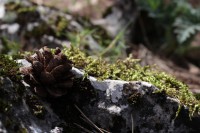 /album/fotogaleria-vias-verdes-mancha-real-jaen-grupo-cristina/img-3011-jpg1/