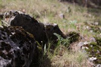 /album/fotogaleria-vias-verdes-mancha-real-jaen-grupo-cristina/img-3018-jpg/