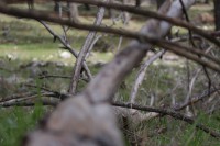 /album/fotogaleria-vias-verdes-mancha-real-jaen-grupo-cristina/img-3040-jpg/