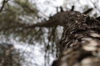 /album/fotogaleria-vias-verdes-mancha-real-jaen-grupo-cristina/img-3043-jpg/