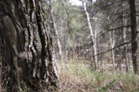/album/fotogaleria-vias-verdes-mancha-real-jaen-grupo-cristina/img-3045-jpg/