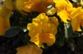 /album/fotogaleria/img-0245-jpg/