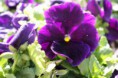 /album/fotogaleria/img-0260-jpg/