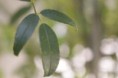 /album/fotogaleria-/img-0271-jpg/