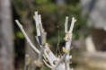 /album/fotogaleria-/img-2359-jpg/