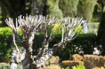 /album/fotogaleria-/img-2388-jpg/