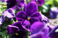 /album/fotogaleria-/img-2412-jpg1/
