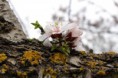 /album/almendros-/img-0293-jpg/