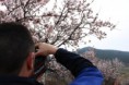 /album/almendros-/img-2428-jpg/