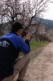 /album/almendros-/img-2430-jpg/