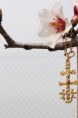 /album/almendros-/img-2438-jpg/