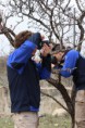 /album/almendros-/img-2463-jpg/