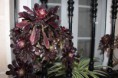 /album/fotogaleria-visita-a-jimena/img-5948-jpg/
