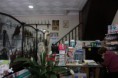/album/visita-a-la-farmacia-de-jimena-/img-6067-jpg/