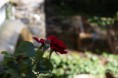 /album/visita-a-belmez-y-huelma/img-5559-jpg1/
