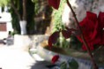 /album/visita-a-belmez-y-huelma/img-5560-jpg/
